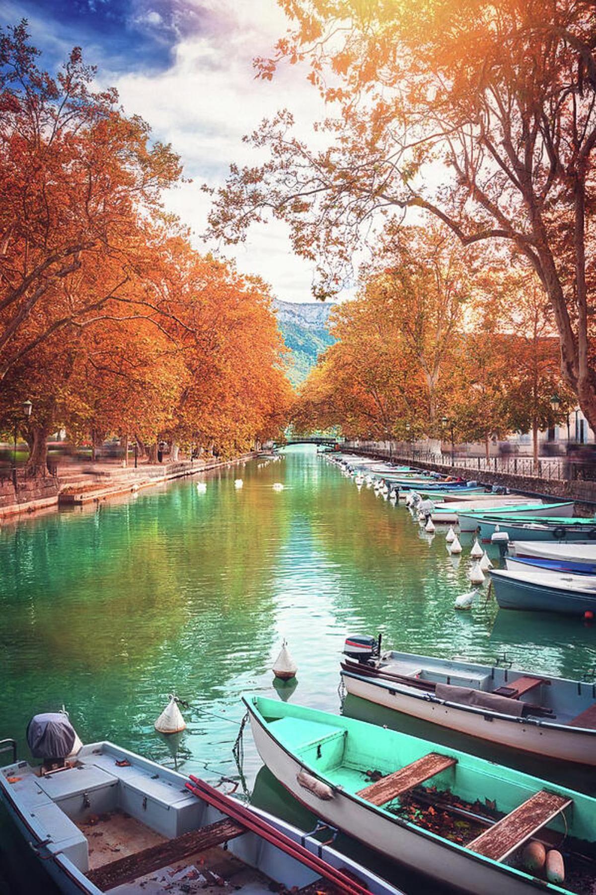 Reflet Bleu Du Lac D'Annecy 3 Etoiles - Face Au Lac, Parking Gratuit, Paddle Board Doussard Exterior photo